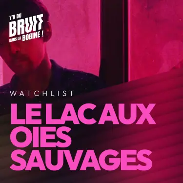 Le Lac aux oies sauvages - un polar chinois d’une beauté rare